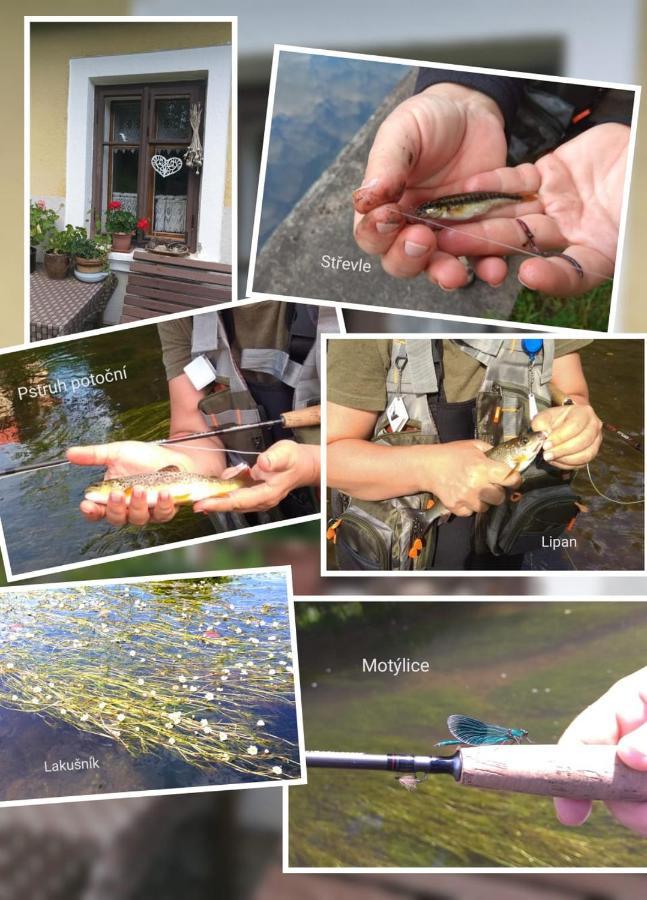 Ubytovani U Lavky Suchovrsice Exterior foto